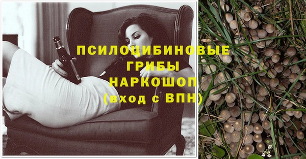 ПСИЛОЦИБИНОВЫЕ ГРИБЫ Медногорск