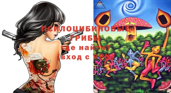 ПСИЛОЦИБИНОВЫЕ ГРИБЫ Медногорск