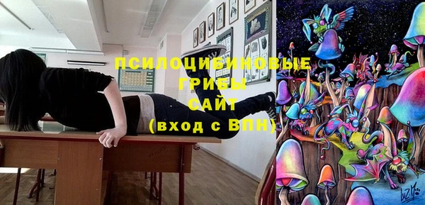 хмурый Мегион