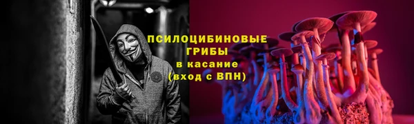 хмурый Мегион