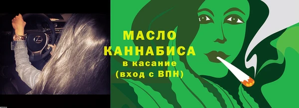 хмурый Мегион