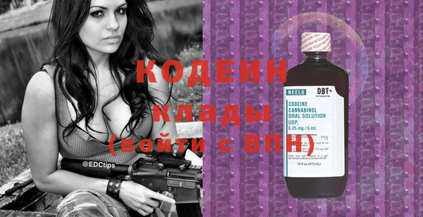 хмурый Мегион