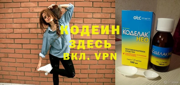 хмурый Мегион