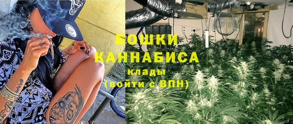 хмурый Мегион