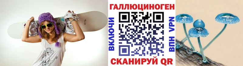 Купить закладки  Рошаль  Псилоцибиновые грибы Psilocybine cubensis 